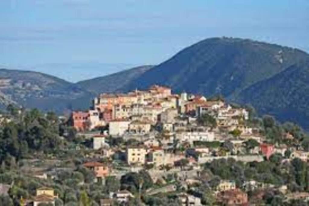 Appartement 3 Pieces Dans Villa Individuelle Falicon Exterior photo